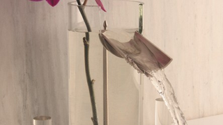 Class Up Your Toilet-Room With Some Pretty Flowers In Your Faucet